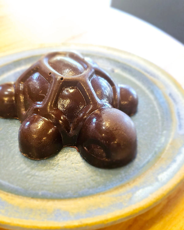 Chocolate Turtle