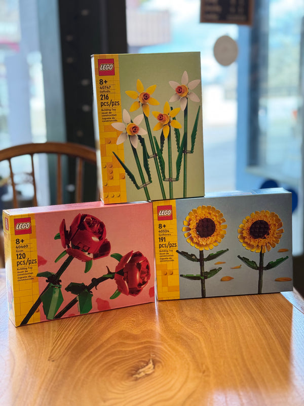 Spring Lego Night March 20th