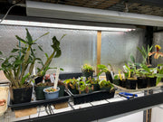 Active Grow LED Horticultural Lights