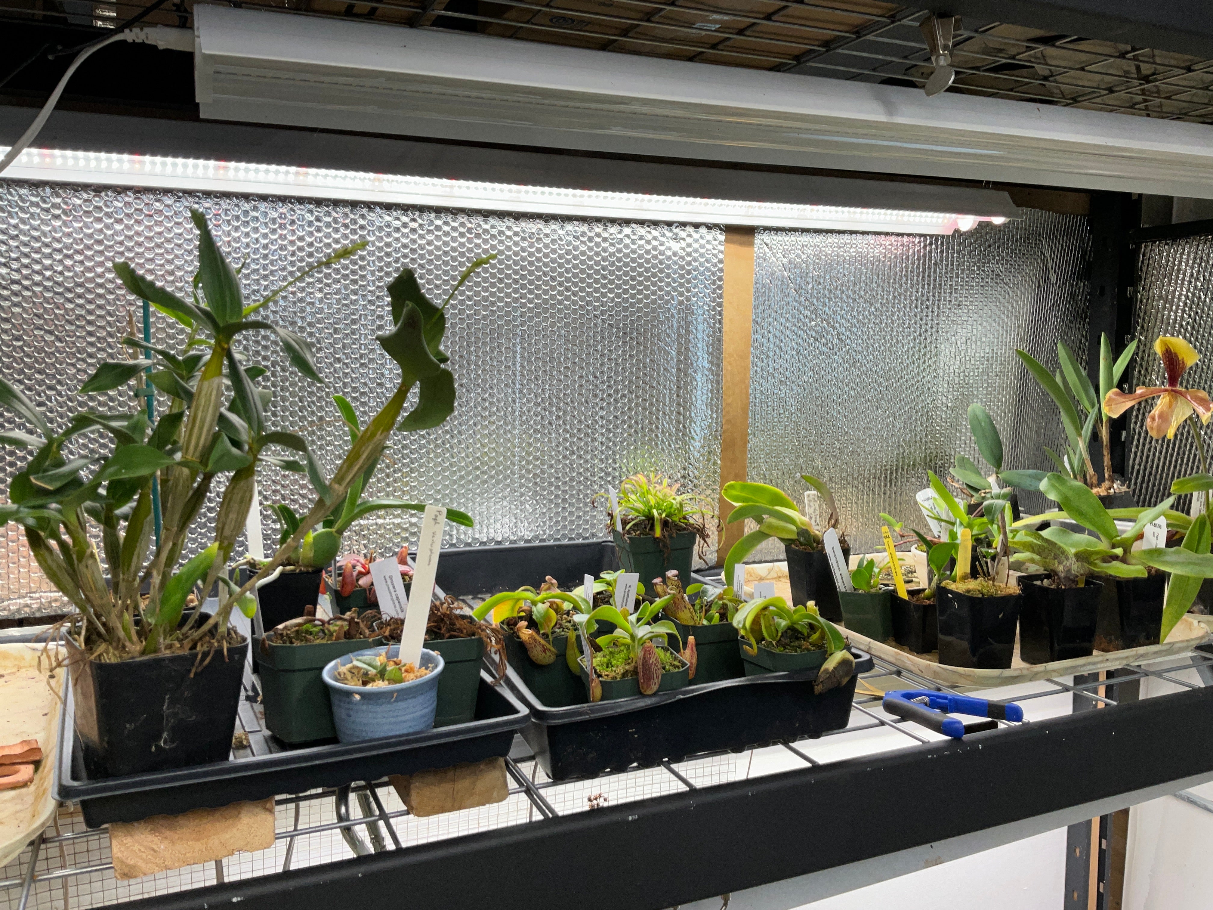 Active Grow LED Horticultural Lights