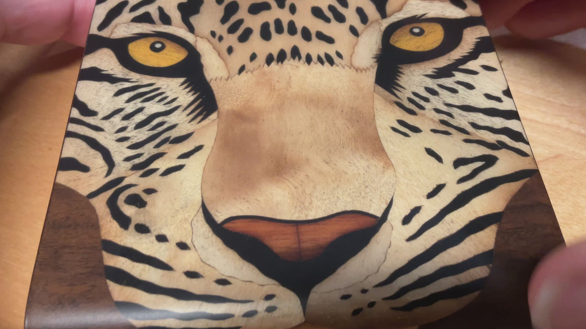 Load video: Rare Chocolate Tasting: Brazil | Sat, Oct 10th