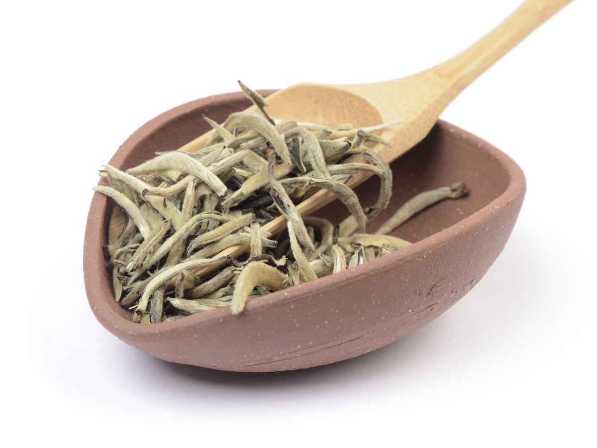 Silver Needles White Tea